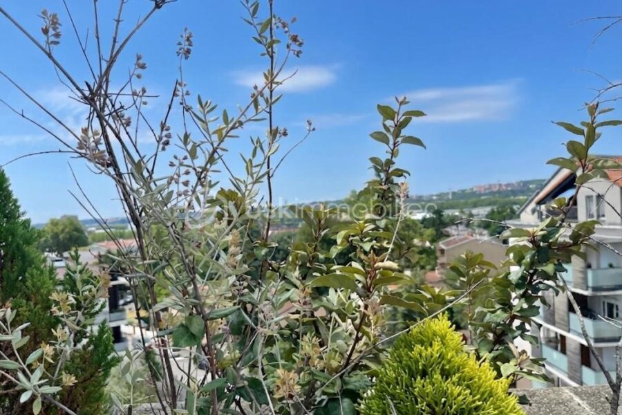 Appartement à vendre à Toulouse — Vue nature — photo 13