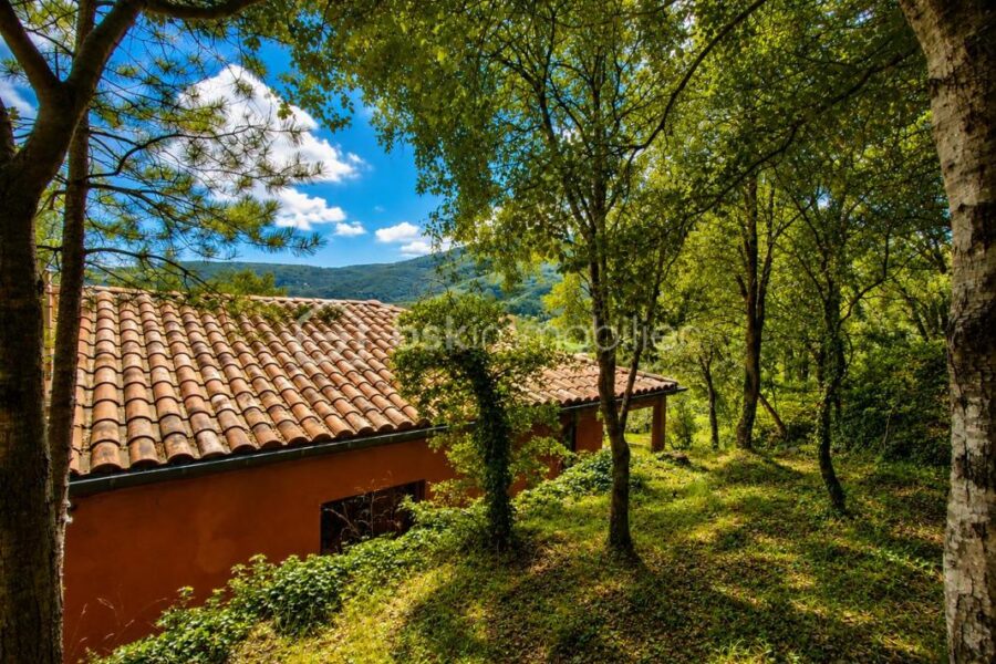 Maison à vendre à Premian — Vue nature — photo 13