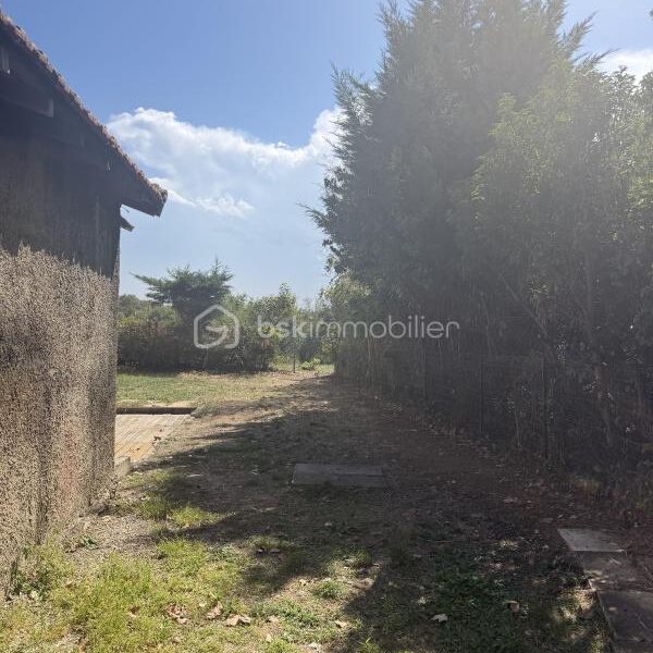 Maison à vendre à Tassin la demi lune — Vue nature — photo 13