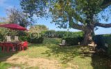 Maison à vendre à Plougasnou — Vue mer — photo 14