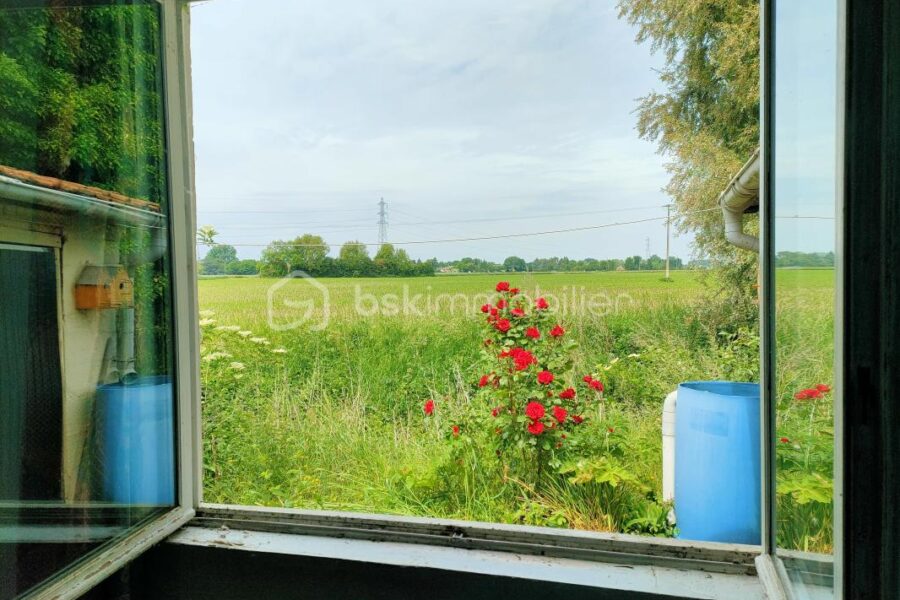 Maison à vendre à Wavrin — Vue fleuve — photo 13