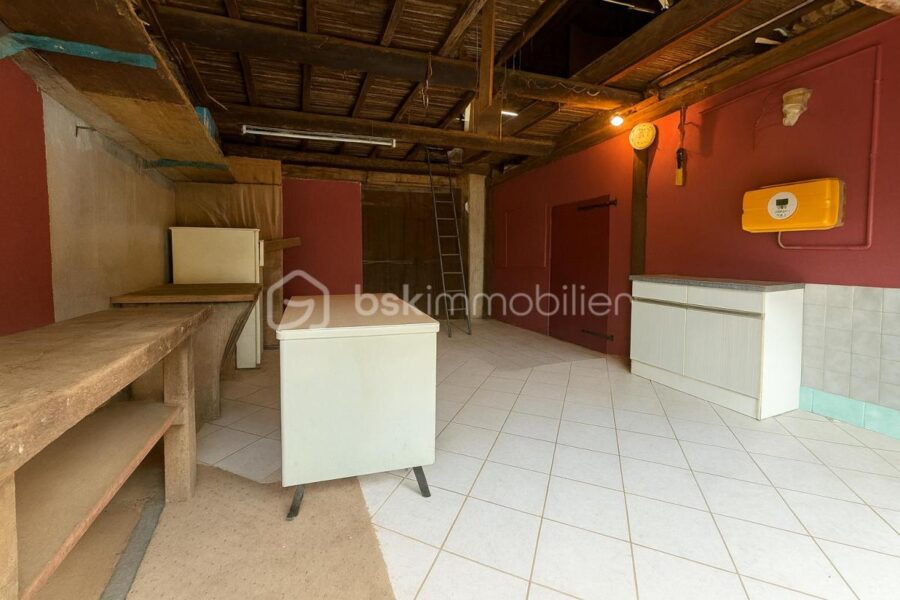 Maison à vendre à Saint hilaire du rosier — Vue nature — photo 14