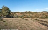 Maison à vendre à Navailles angos — Vue nature — photo 14