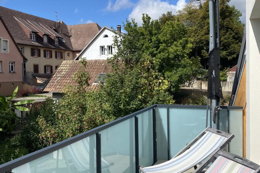 Appartement à louer à Altkirch — Vue nature — photo 8