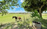 Maison à vendre à Albi — Vue nature — photo 15