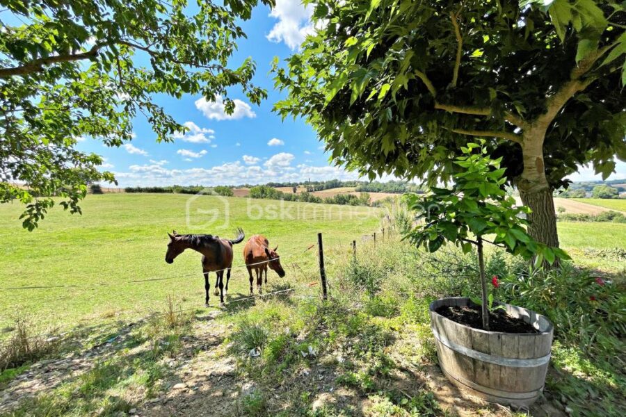 Maison à vendre à Albi — Vue nature — photo 15