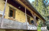 Maison à vendre à Arnac pompadour — Vue nature — photo 15