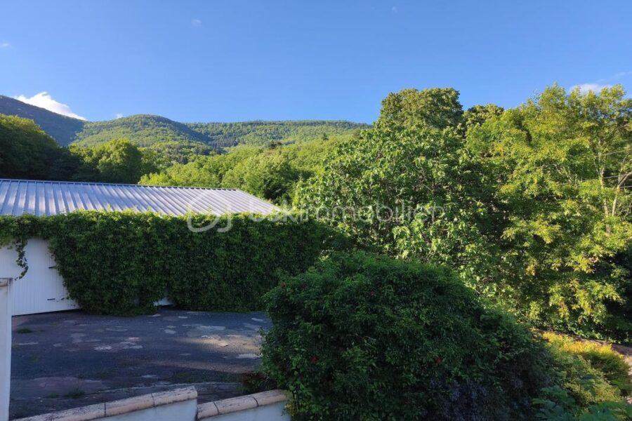 Maison à vendre à Saint pons de thomieres — Vue nature — photo 15