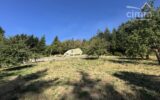 Maison à vendre à Thiolières — Vue montagne — photo 36