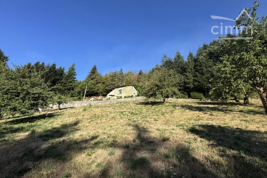 Maison à vendre à Thiolières — Vue montagne — photo 36
