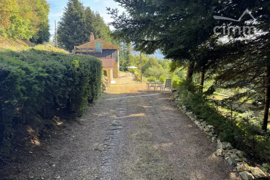 Maison à vendre à Thiolières — Vue montagne — photo 40