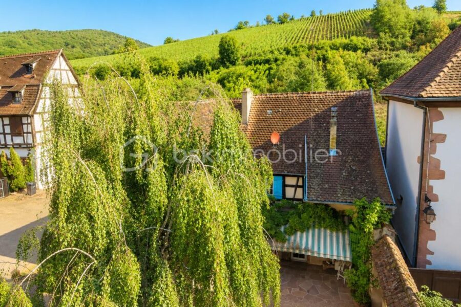 Maison à vendre à Riquewihr — Vue nature — photo 16
