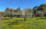 Maison à vendre à Uzes — Vue nature — photo 16