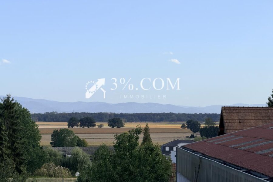 Maison à vendre à Schirrhein — Vue nature — photo 1