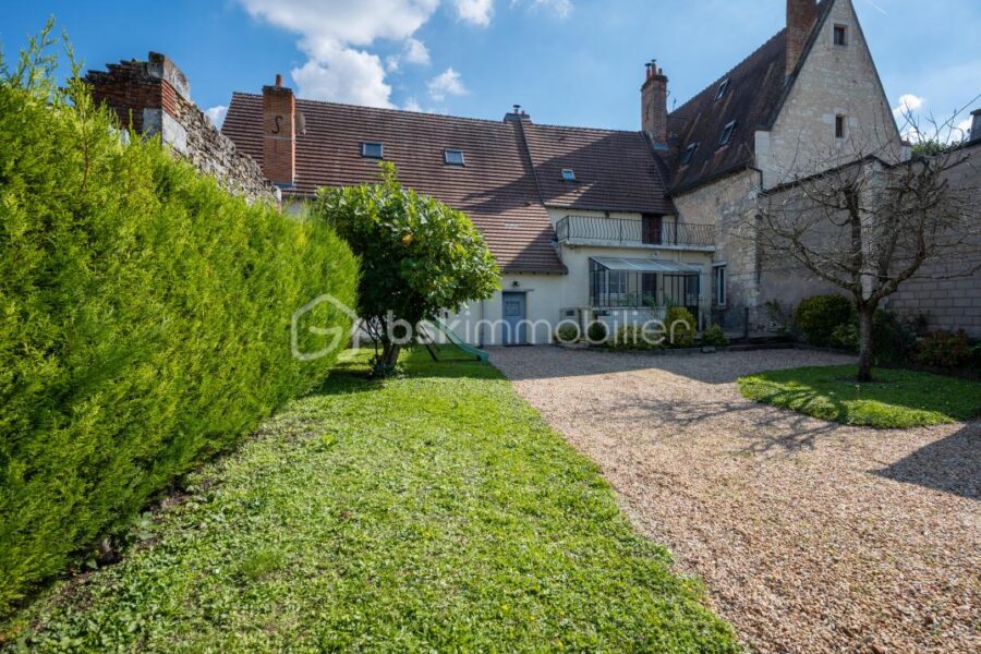 Maison à vendre à Valencay — Vue dégagée — photo 17