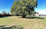 Maison à vendre à Juvigne — Vue nature — photo 17