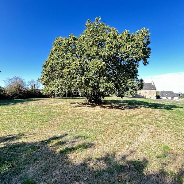 Maison à vendre à Juvigne — Vue nature — photo 17