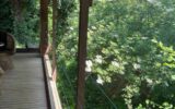 Maison à vendre à Arnac pompadour — Vue nature — photo 16