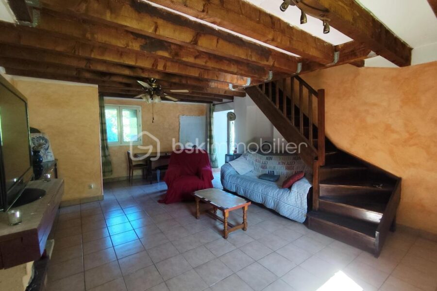 Maison à vendre à Saint-Pons-de-Thomières — Vue nature — photo 16