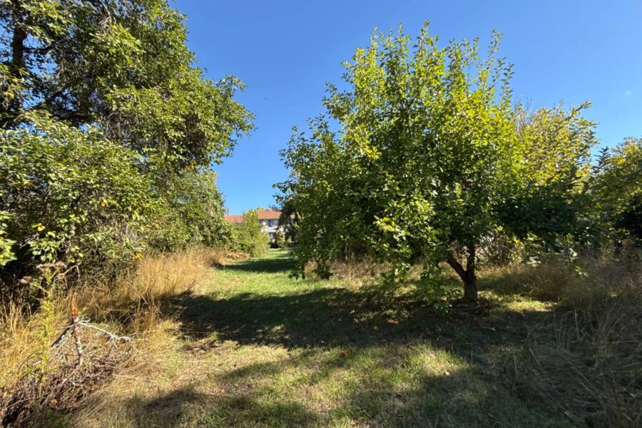 Maison à vendre à Corre — Vue nature — photo 30