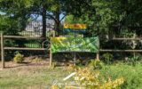 Maison à vendre à Conde sainte libiaire — Vue lac — photo 17