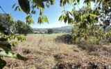 Maison à vendre à Juvigne — Vue nature — photo 1