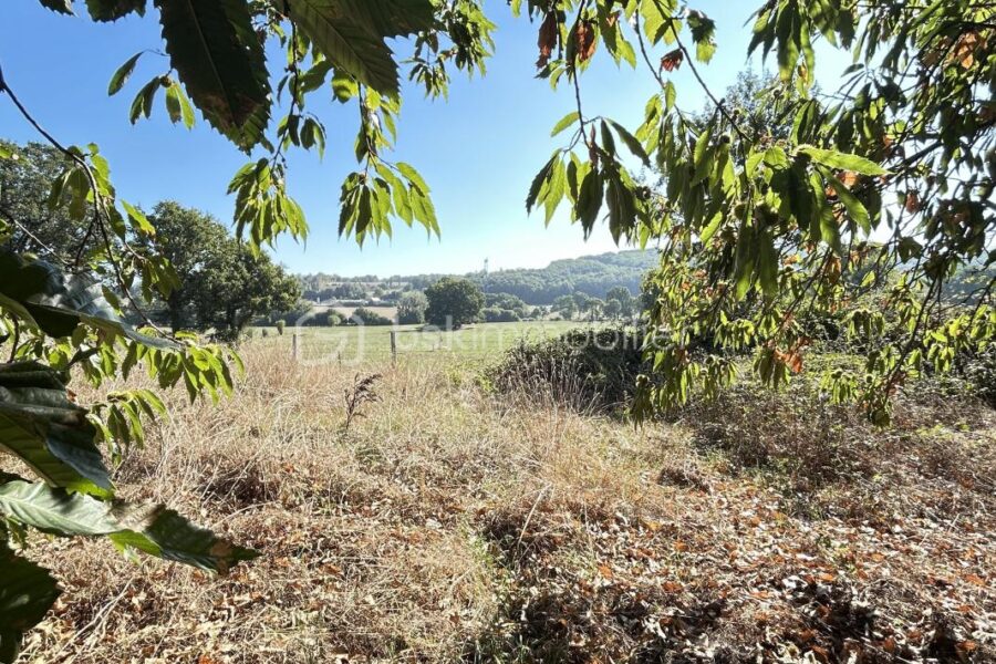 Maison à vendre à Juvigne — Vue nature — photo 1