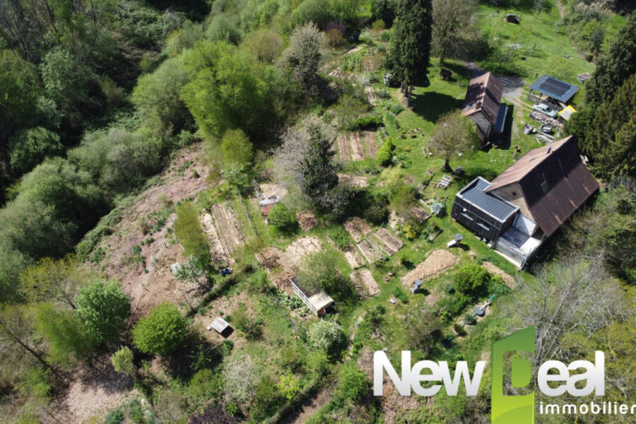 Maison à vendre à Arnac pompadour — Vue nature — photo 17