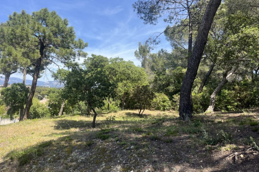 Terrain à vendre à Six-fours-les-plages — Vue nature — photo 1
