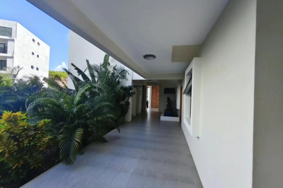 Appartement à louer à Pereybère — Vue nature — photo 16