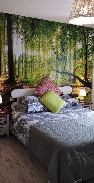 Maison à vendre à Junhac — Vue nature — photo 18