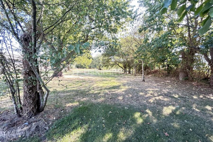Maison à vendre à Juvigne — Vue nature — photo 18