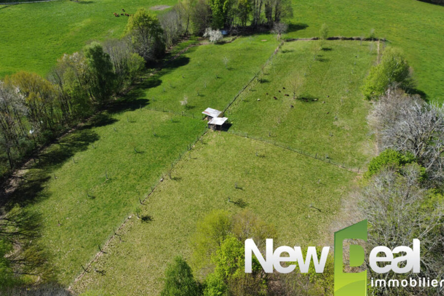 Maison à vendre à Arnac pompadour — Vue nature — photo 18