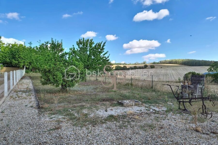 Maison à vendre à Nailly — Vue dégagée — photo 20