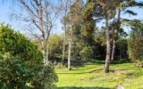 Maison à vendre à Mareil marly — Vue nature — photo 19