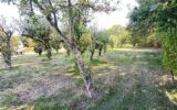 Maison à vendre à Juvigne — Vue nature — photo 19