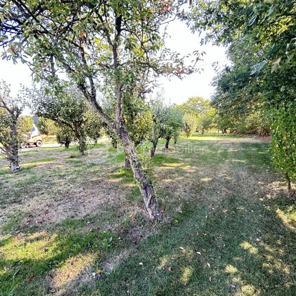 Maison à vendre à Juvigne — Vue nature — photo 19