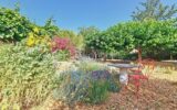 Maison à vendre à Prades — Vue nature — photo 19