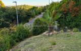 Maison à vendre à Clermont l herault — Vue nature — photo 19