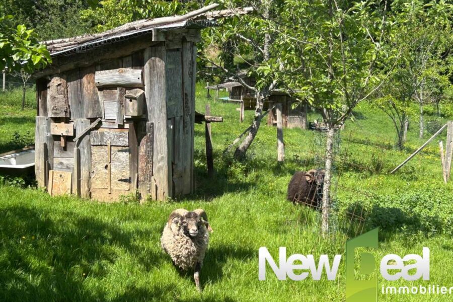 Maison à vendre à Arnac pompadour — Vue nature — photo 19