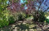 Maison à vendre à Saint-dizant-du-gua — Vue parc & jardin — photo 18
