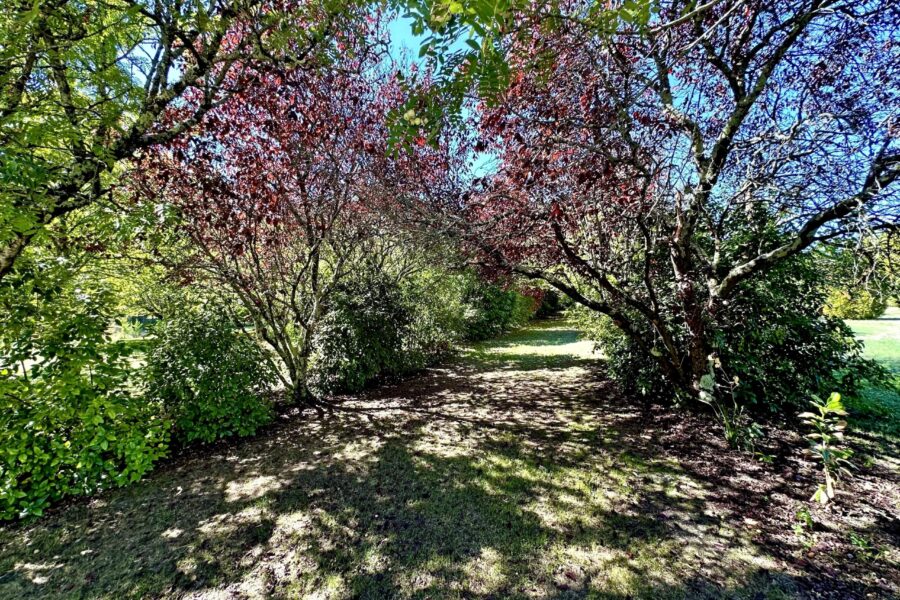 Maison à vendre à Saint-dizant-du-gua — Vue parc & jardin — photo 18
