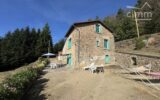 Maison à vendre à Thiolières — Vue montagne — photo 41