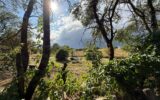Maison à vendre à Melay — Vue nature — photo 26