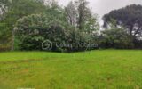 Terrain à vendre à Saint arnoult en yvelines — Vue dégagée — photo 1