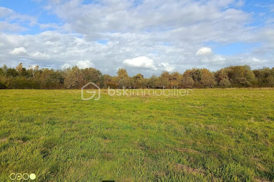 Terrain à vendre à Aire sur l adour — Vue nature — photo 3