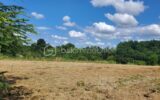Terrain à vendre à Miramont de guyenne — Vue nature — photo 1