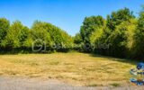 Terrain à vendre à Saint amand sur sevre — Vue nature — photo 3