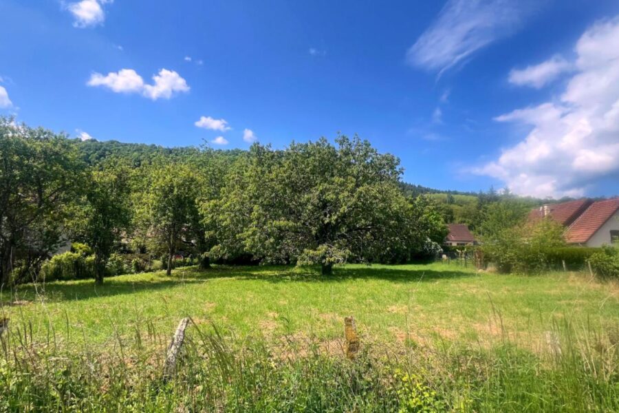Terrain à vendre à Ornans — Vue nature — photo 3