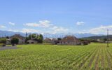 Maison à vendre à Bordes — Vue nature — photo 1